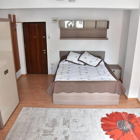 Apartament Frunzei Sibiu Exterior photo